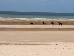 4 cavaliers et leur cheval en randonnée équestre sur la plage