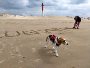 chien croisé beagle face à la mer, et une femme écrivant cheun'apan sur le sable, le phare de la tremblade derrière