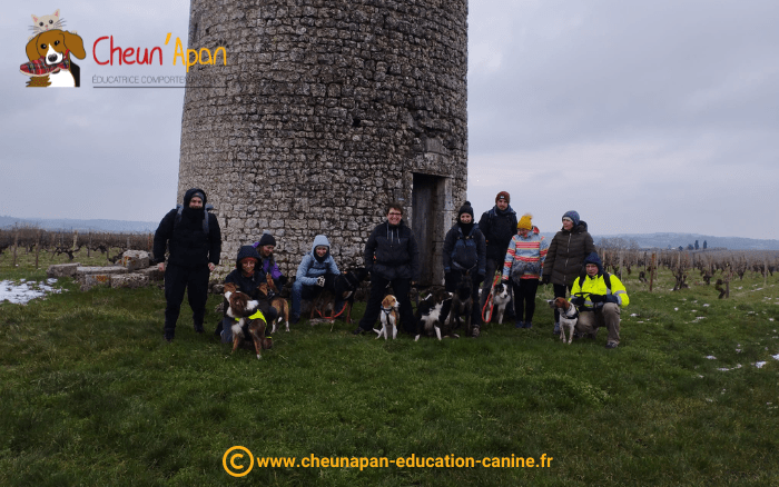 groupe avec 8 chiens et 10 personnes qui a participé à la cani-randonnée à berneuil le 22 janvier 2023 par un temps très froid