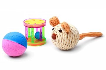 plusieurs jouets pour chats ; deux grelots et une souris en cordes